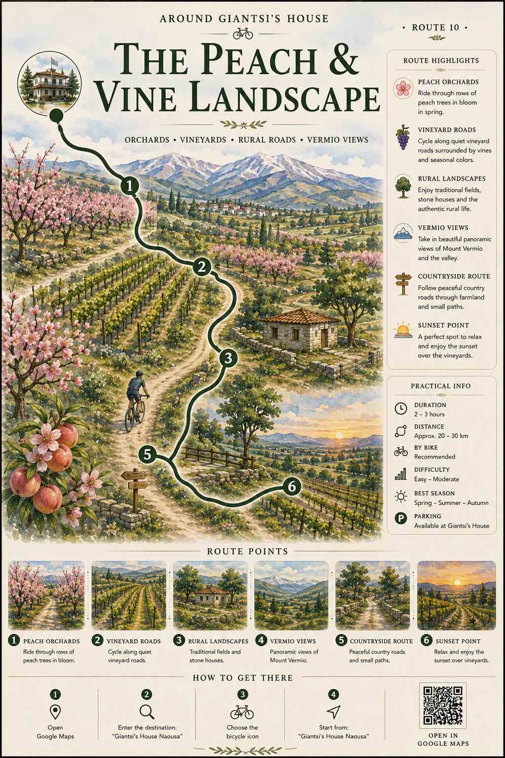 The Peach & Vine
